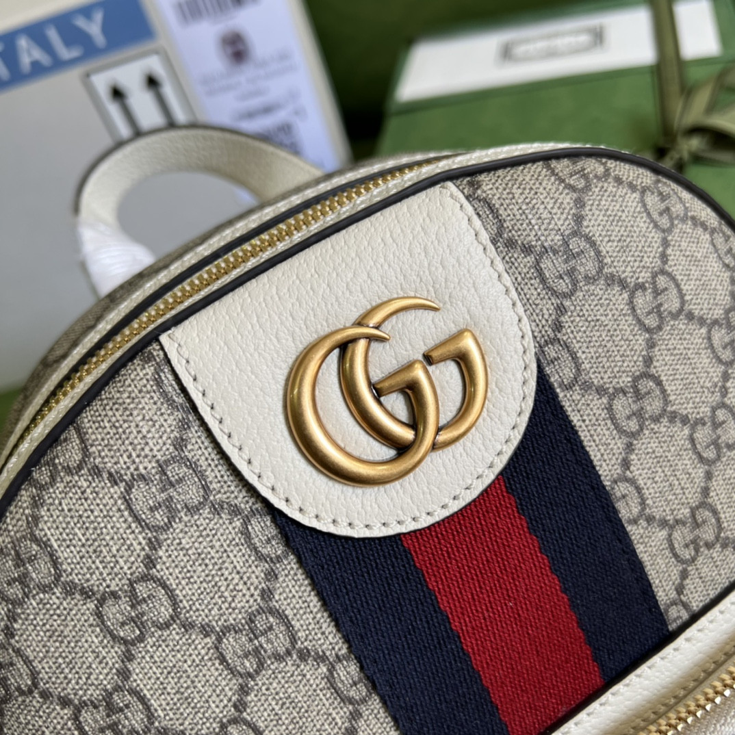 Gucci Ophidia Bag