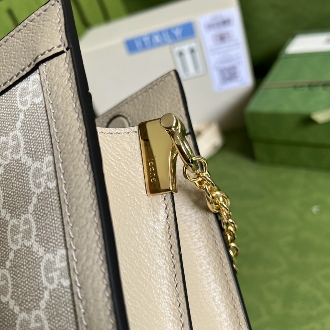 Gucci Ophidia Bag