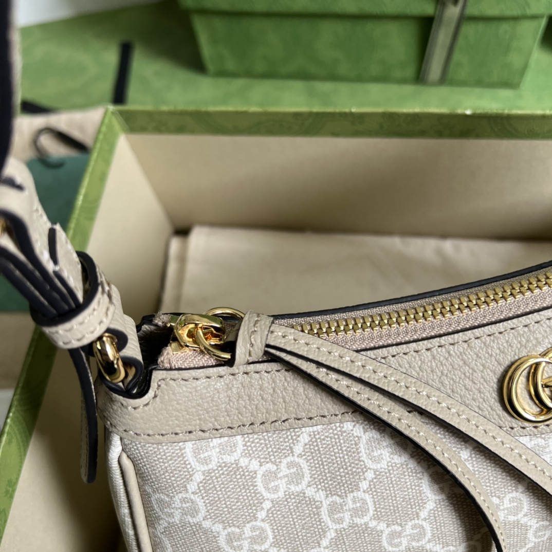 Gucci Ophidia Bag