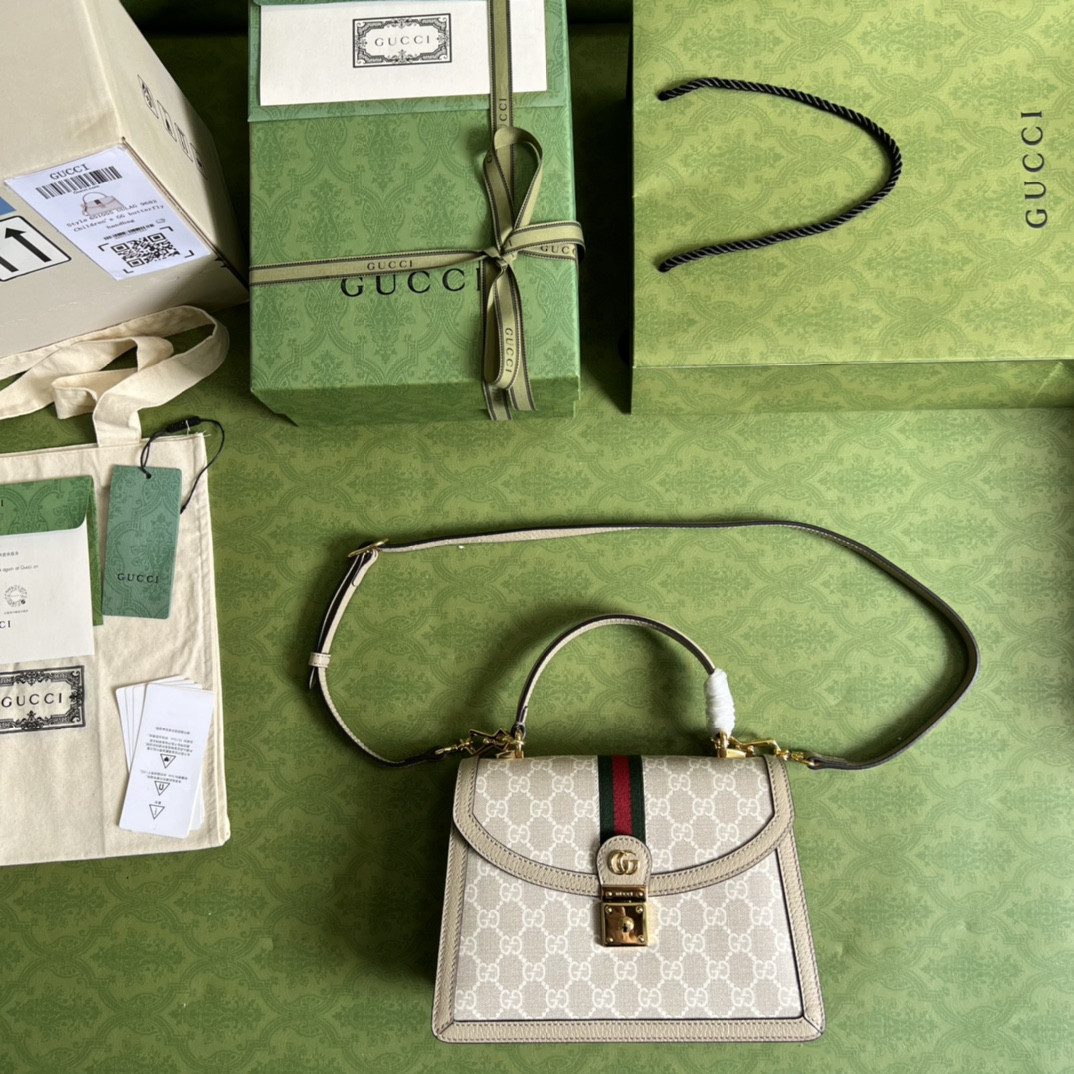 Gucci Ophidia Bag