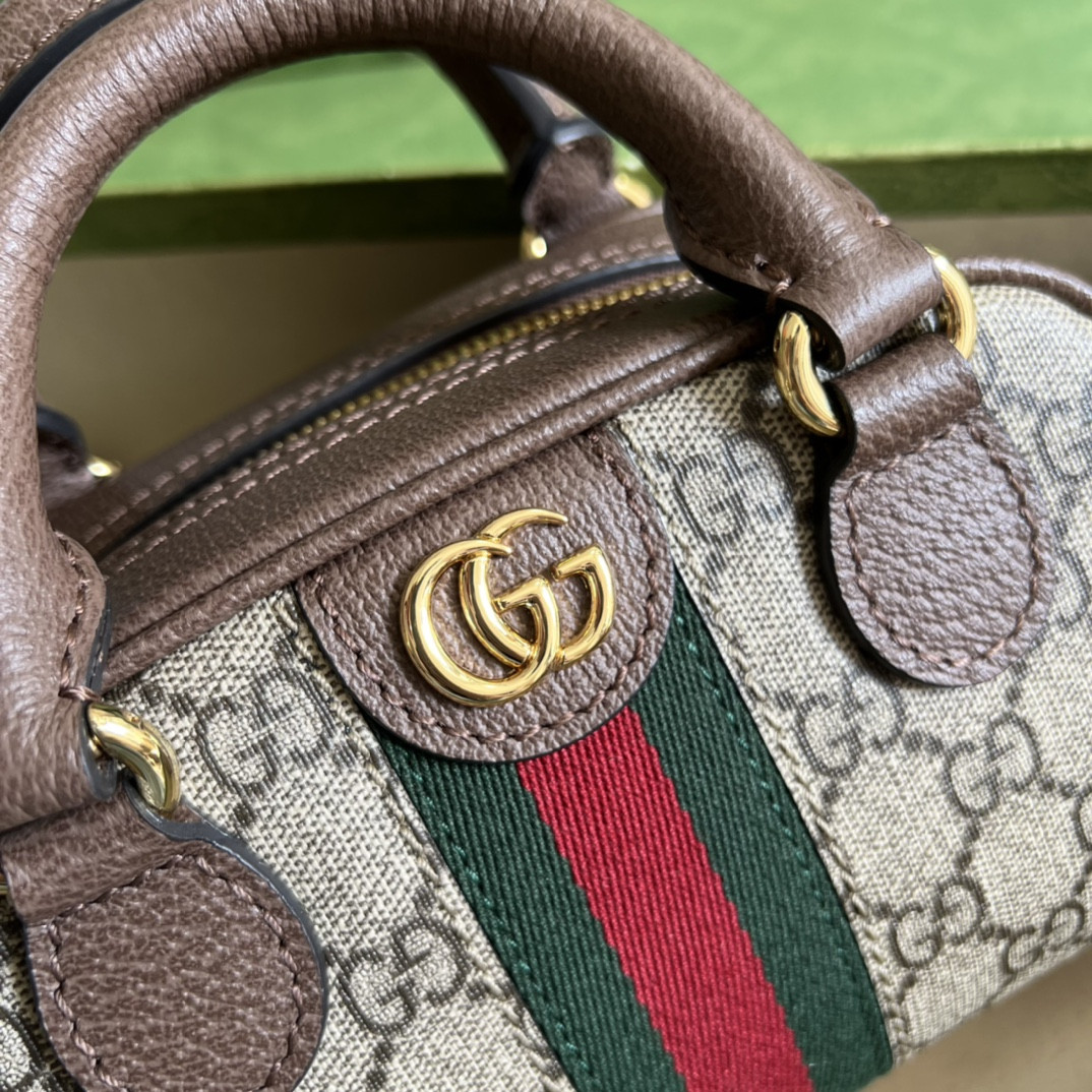 Gucci Ophidia Bag