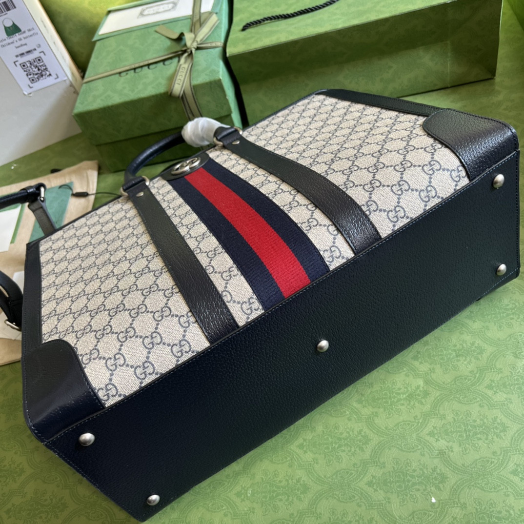 Gucci Ophidia Bag