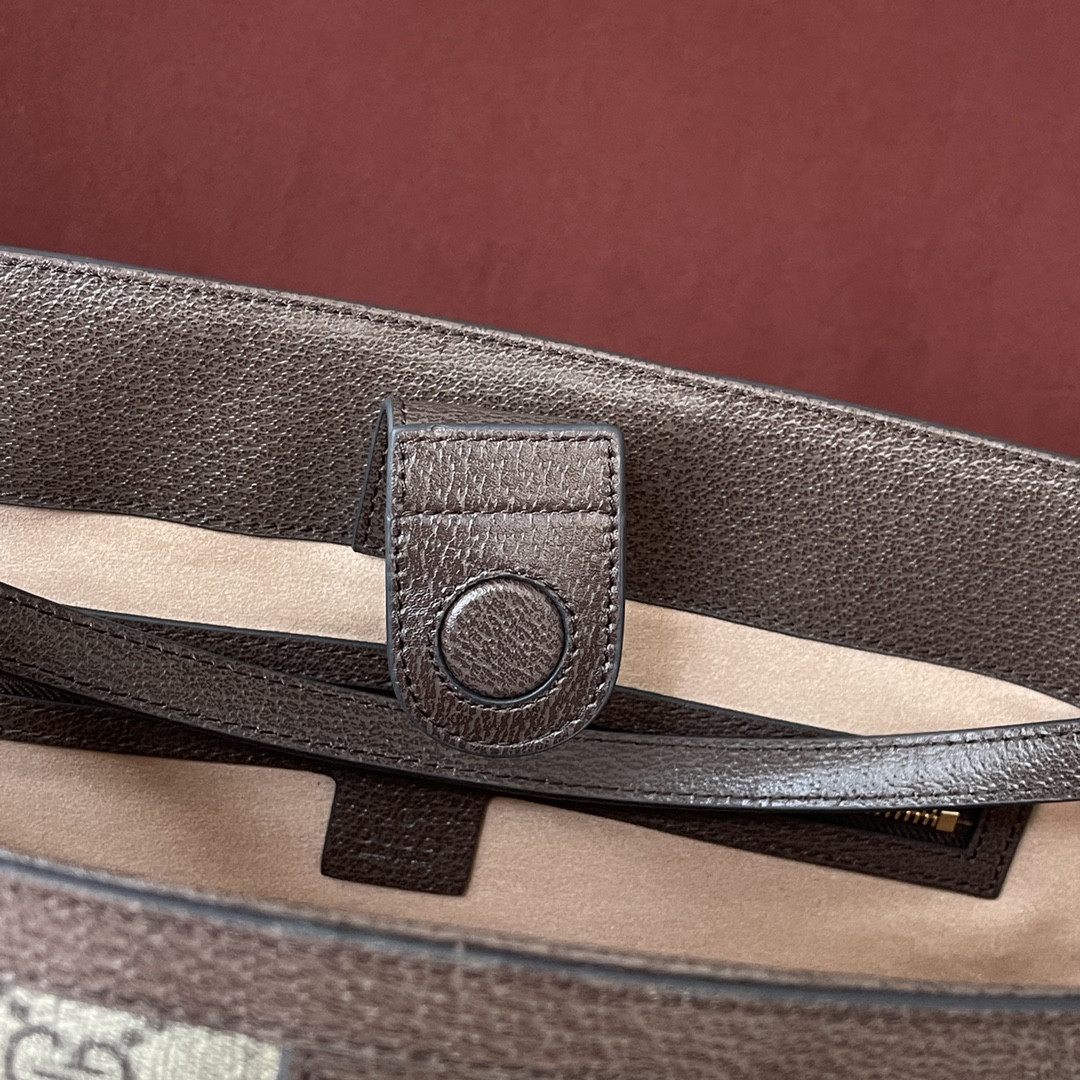 Gucci Ophidia Bag