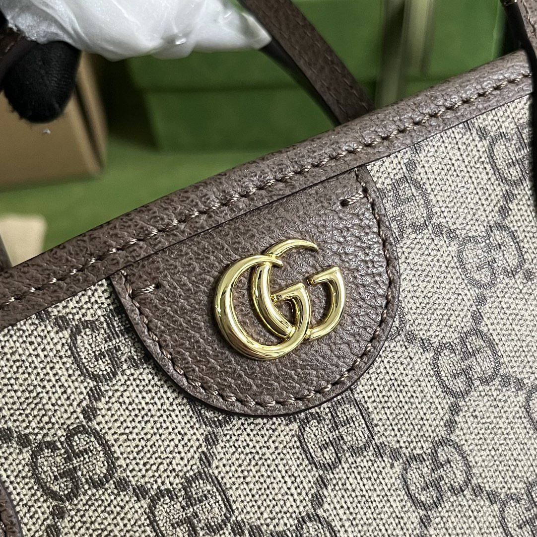 Gucci Ophidia Bag