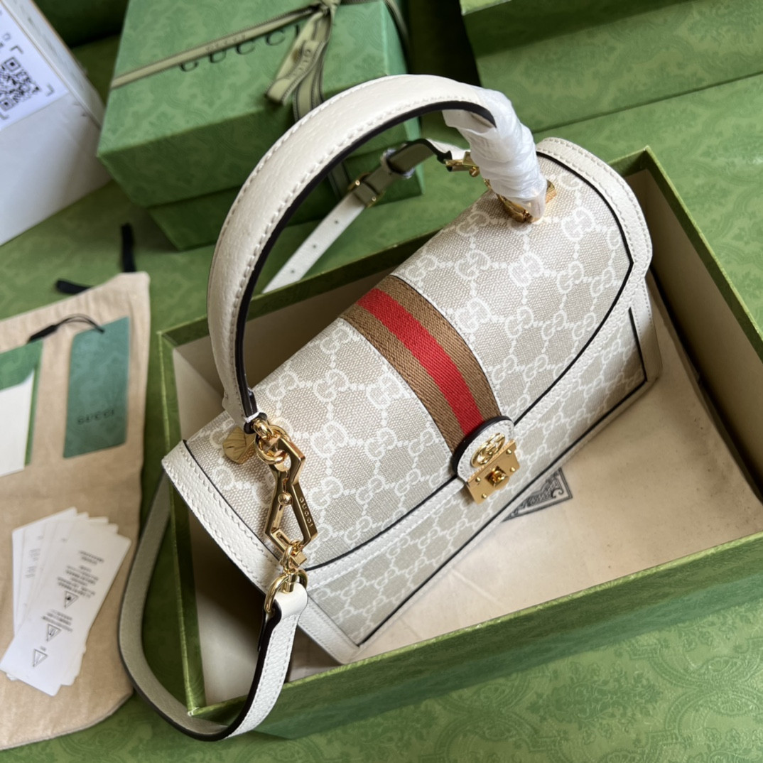 Gucci Ophidia Bag
