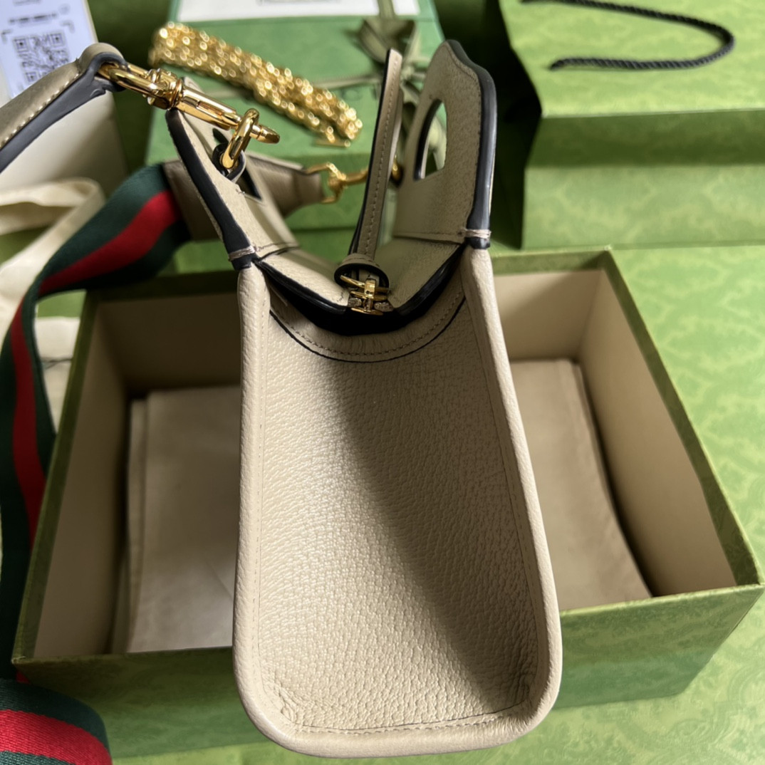 Gucci Ophidia Bag