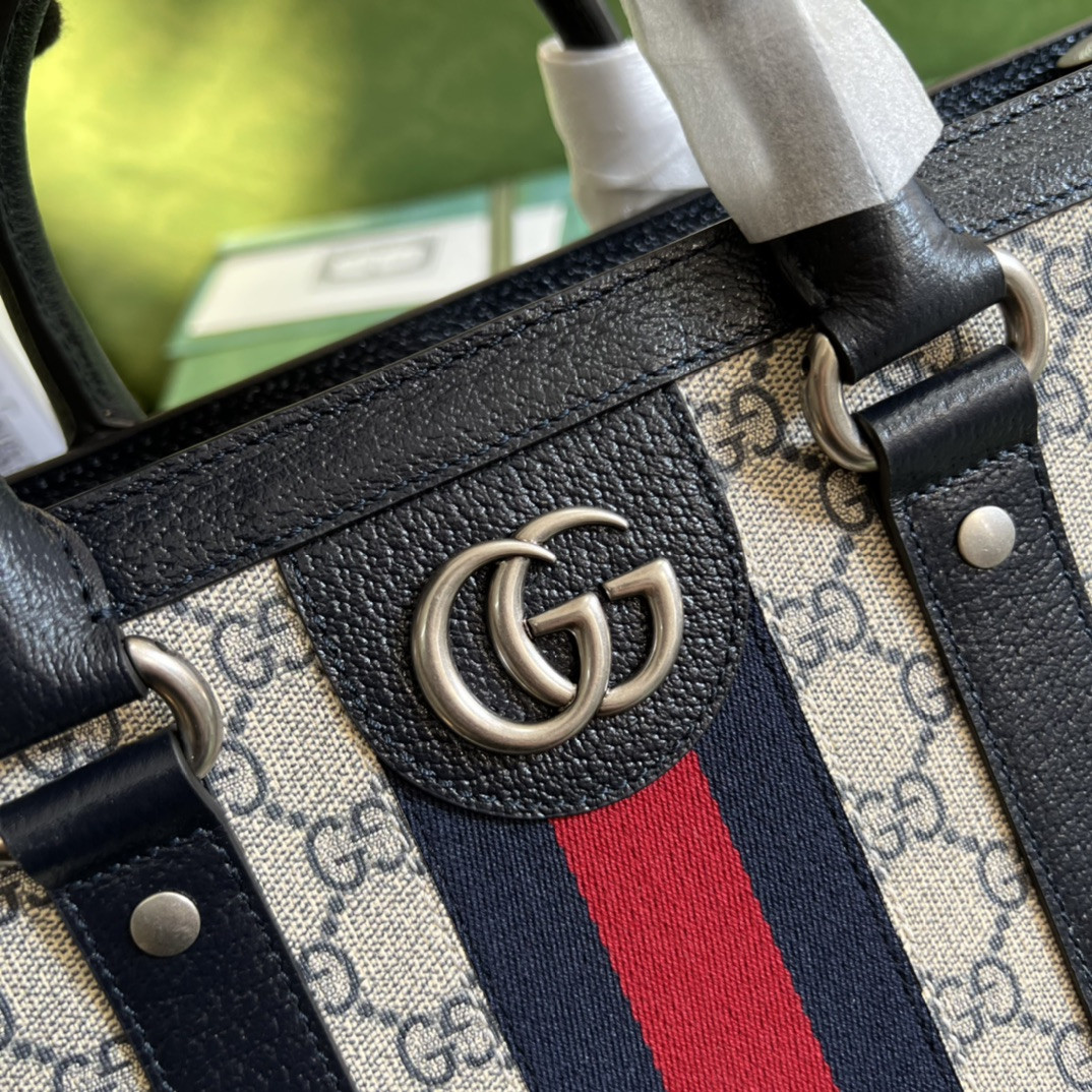 Gucci Ophidia Bag