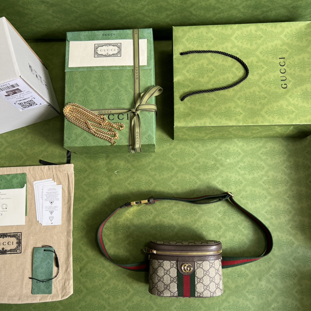 Gucci Ophidia Bag