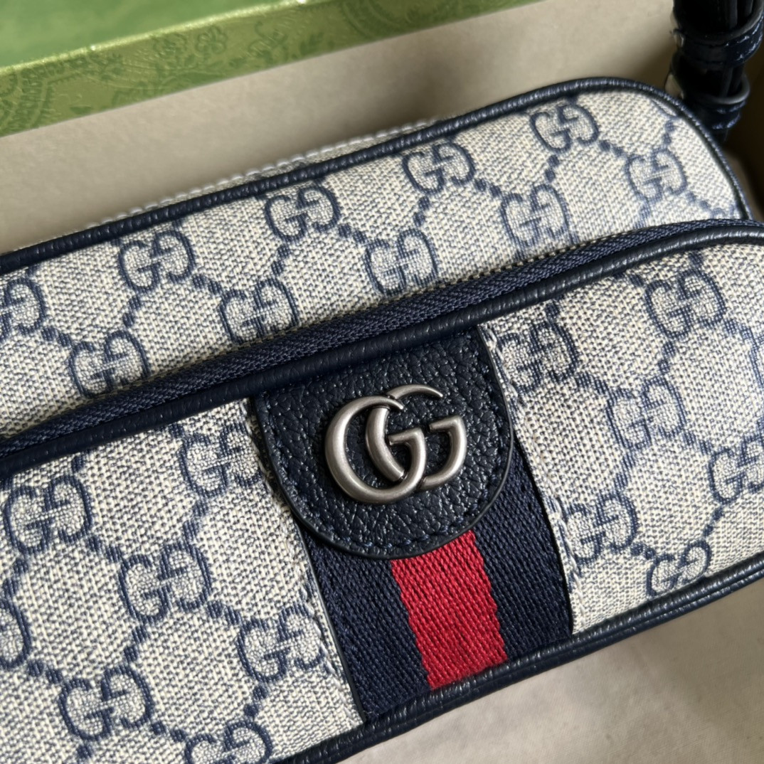 Gucci Ophidia Bag