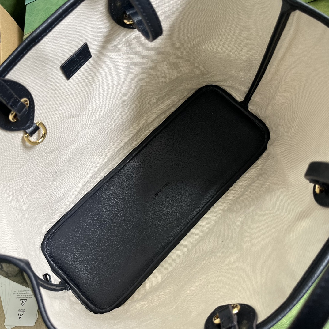 Gucci Ophidia Bag