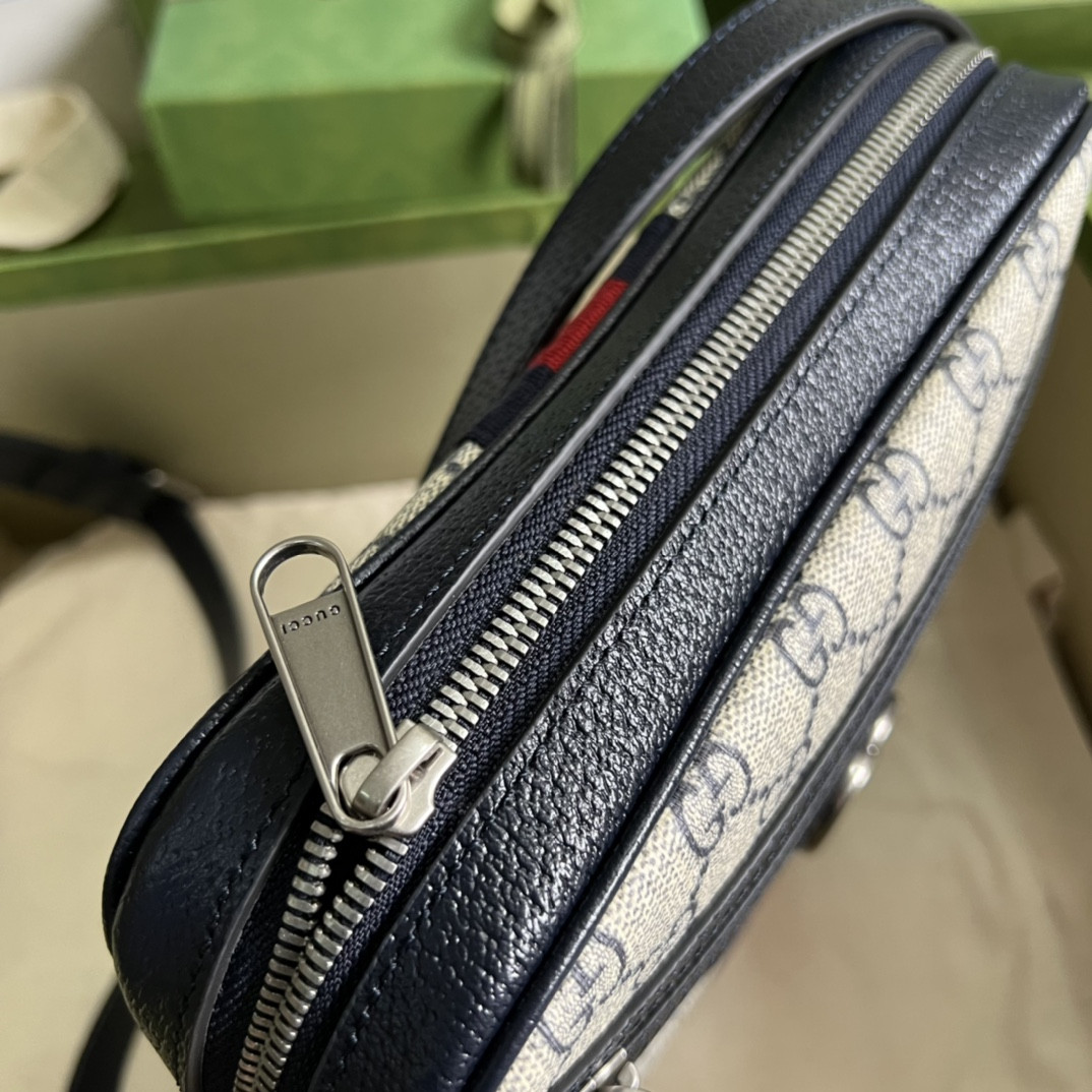 Gucci Ophidia Bag