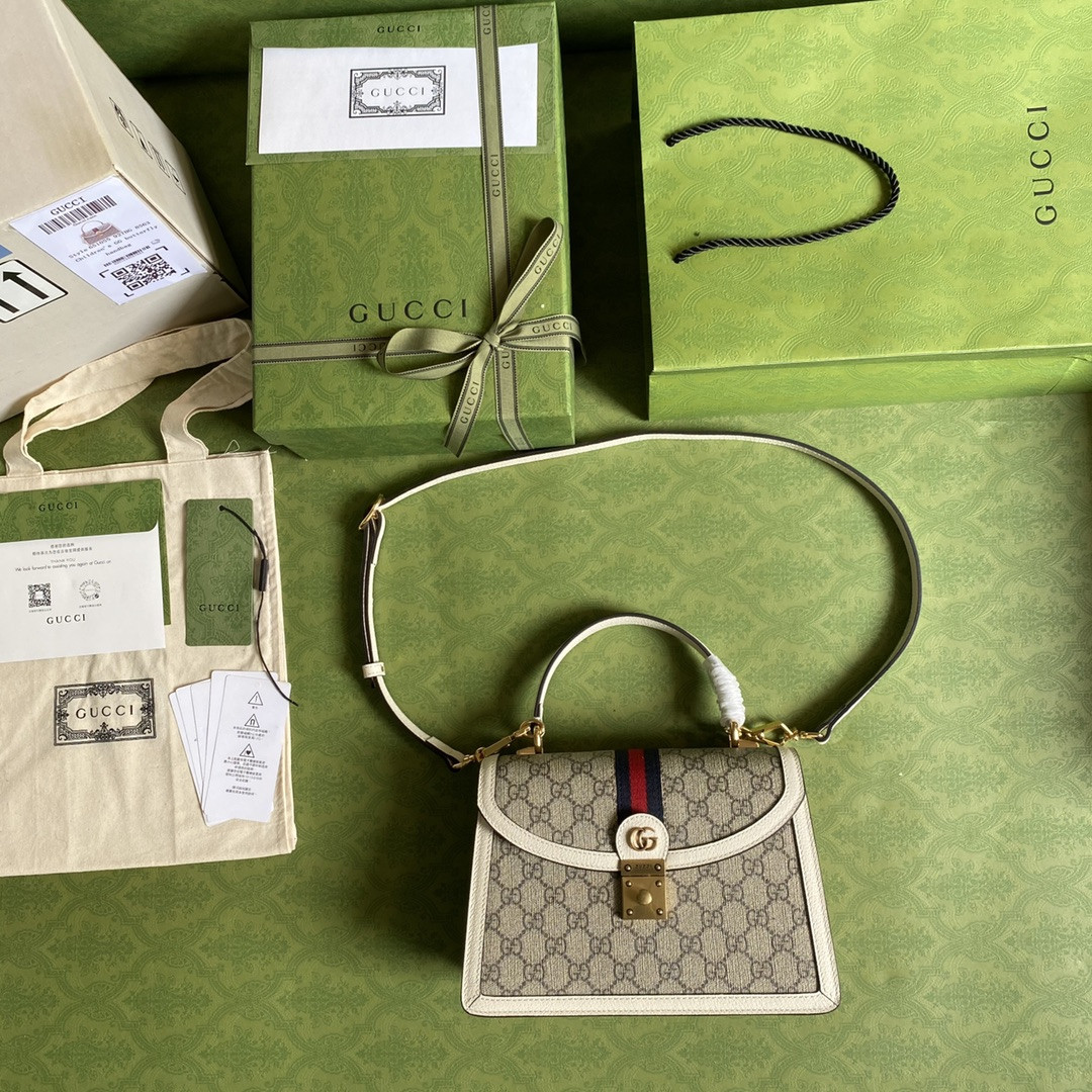 Gucci Ophidia Bag