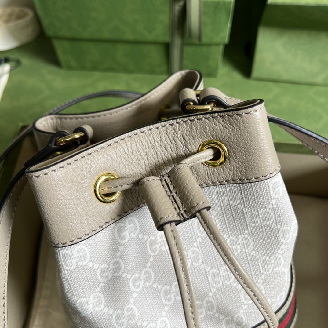 Gucci Ophidia Bag