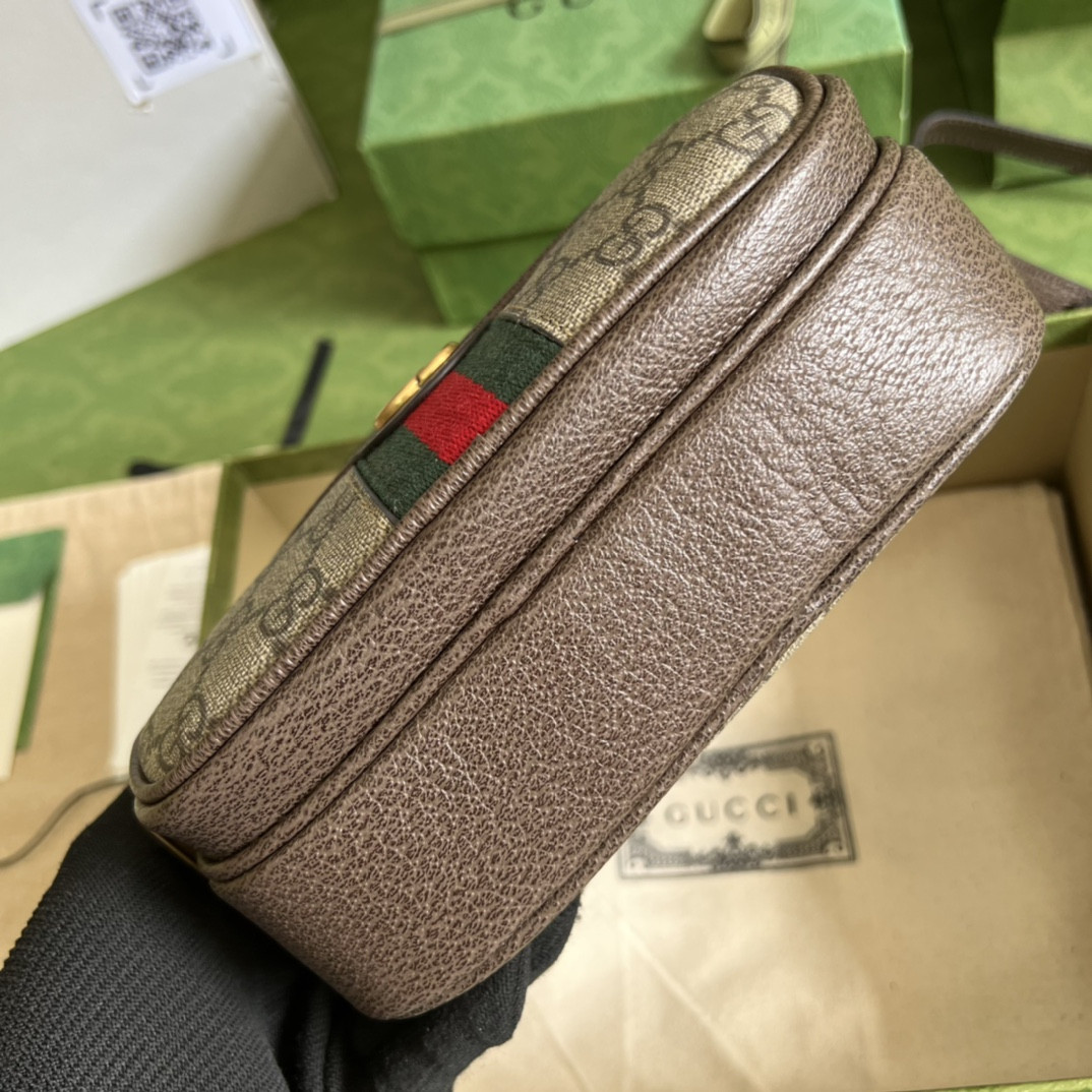 Gucci Ophidia Bag