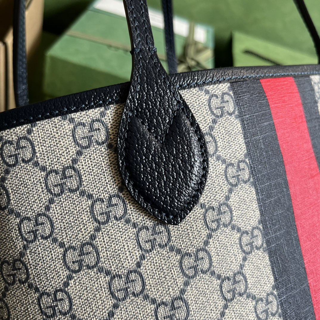 Gucci Ophidia Bag