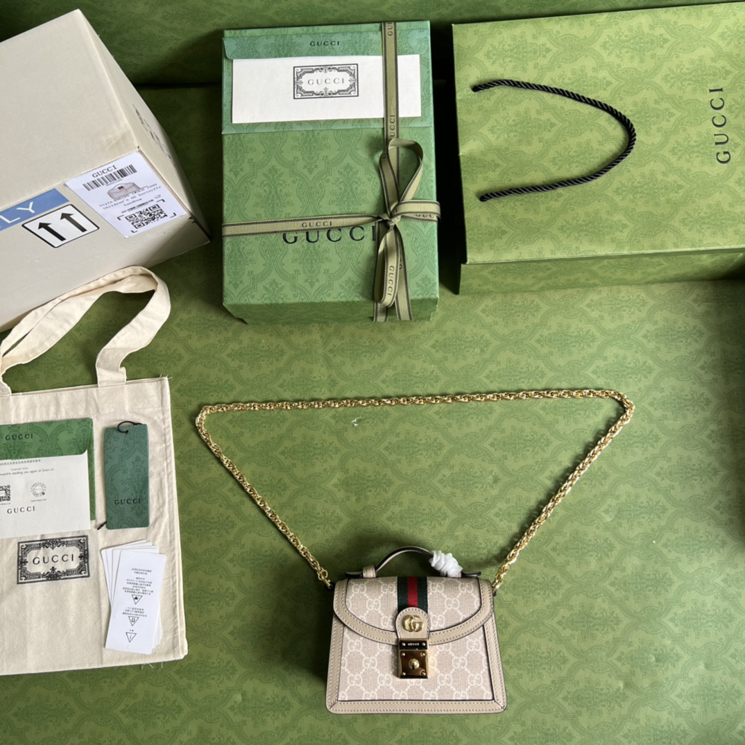 Gucci Ophidia Bag