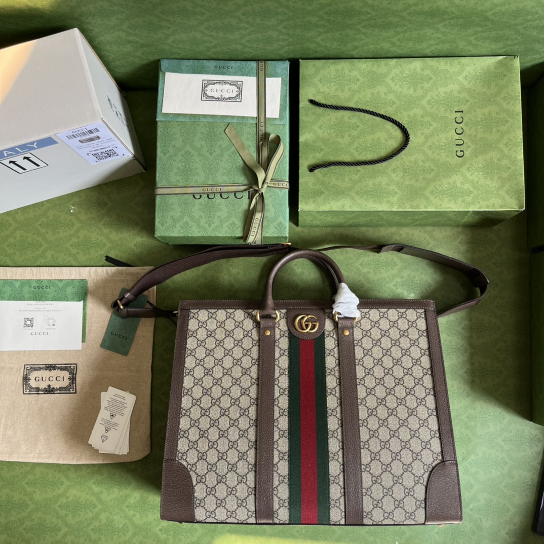 Gucci Ophidia Bag