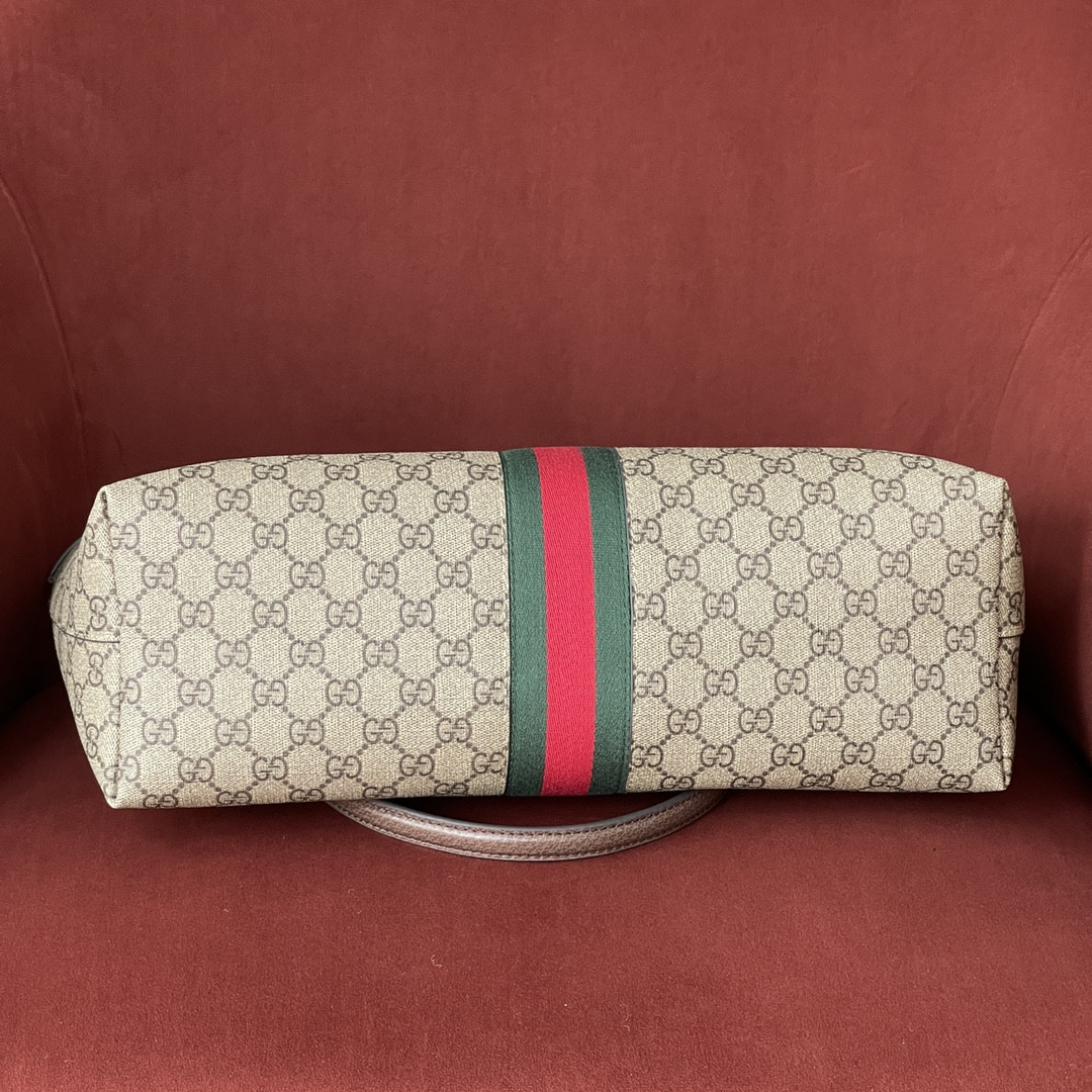 Gucci Ophidia Bag