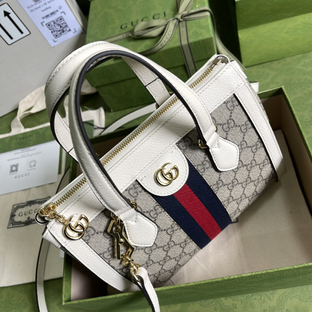 Gucci Ophidia Bag