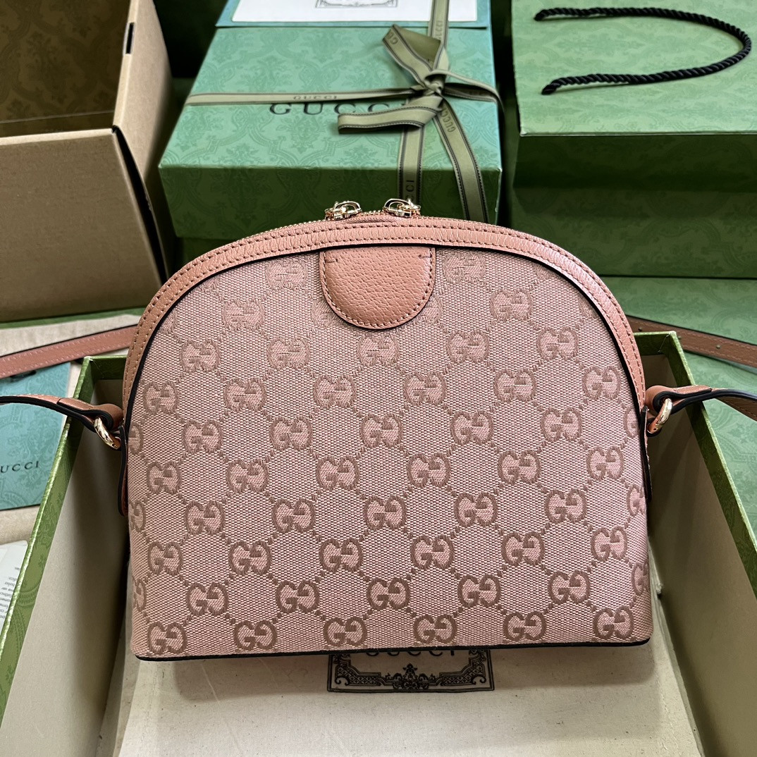 Gucci Ophidia Bag