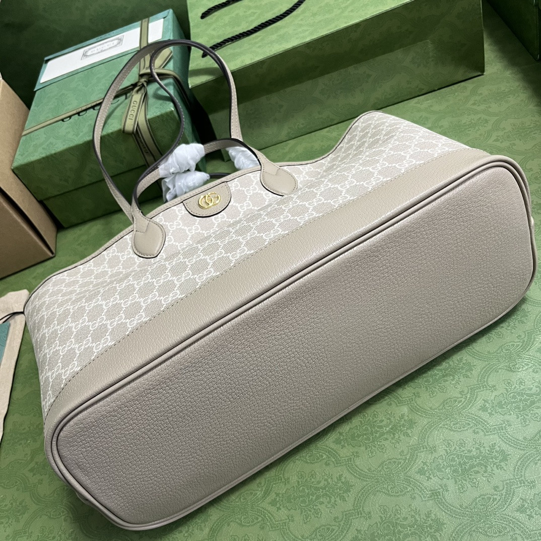 Gucci Ophidia Bag