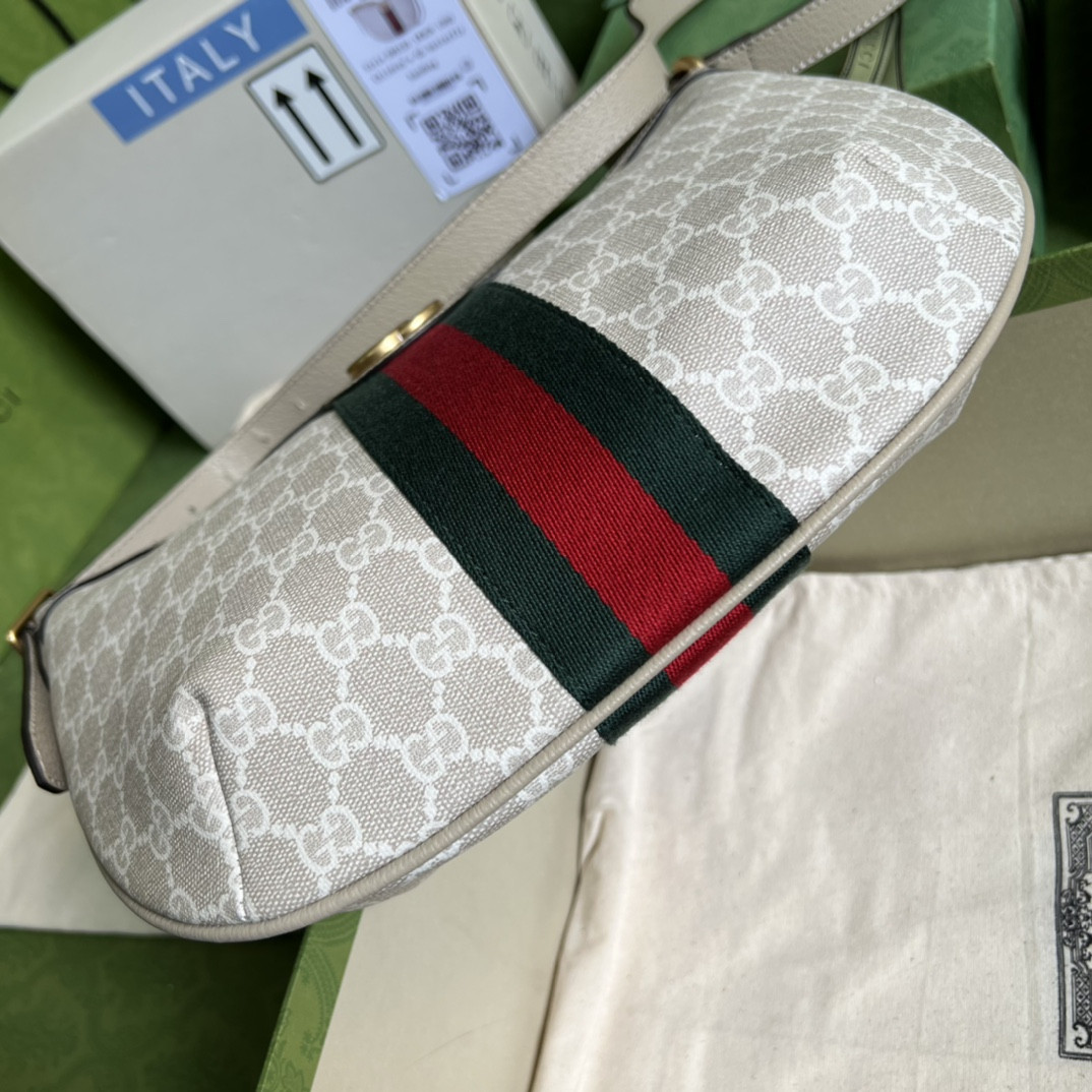 Gucci Ophidia Bag