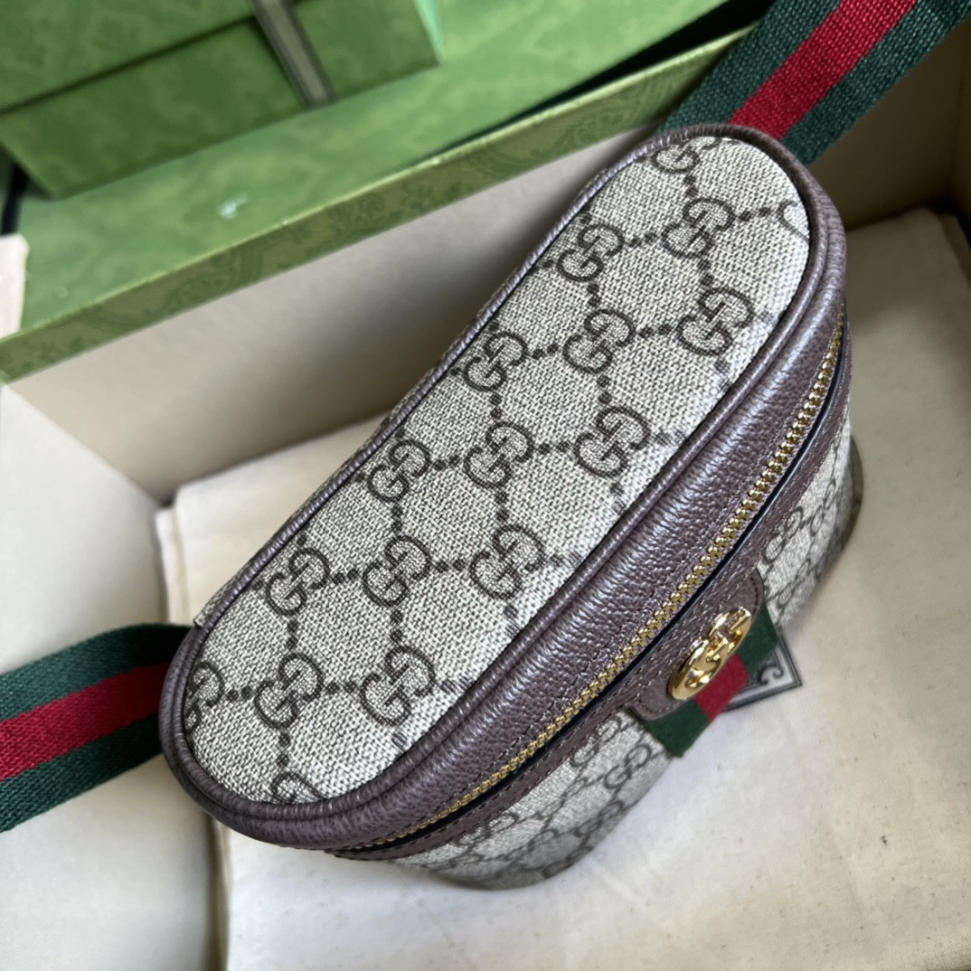 Gucci Ophidia Bag