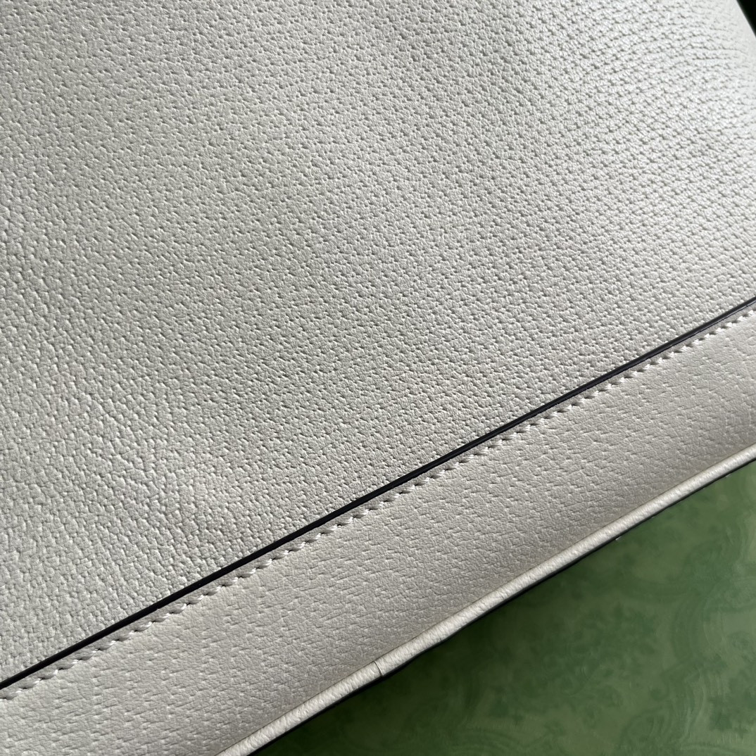 Gucci Ophidia Bag
