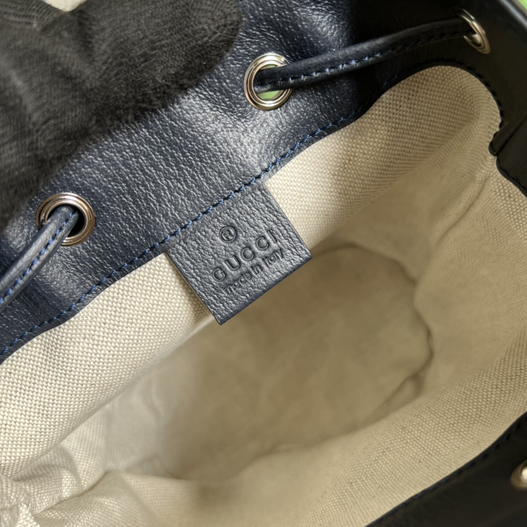 Gucci Ophidia Bag