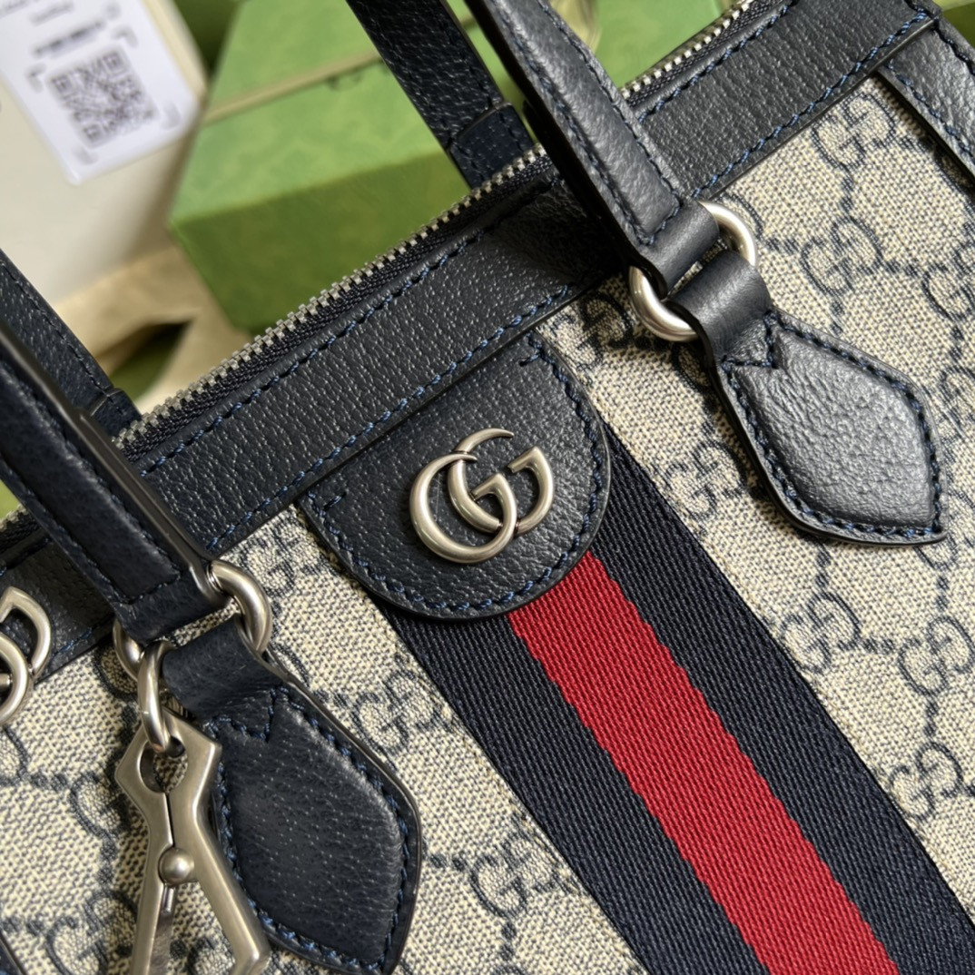 Gucci Ophidia Bag