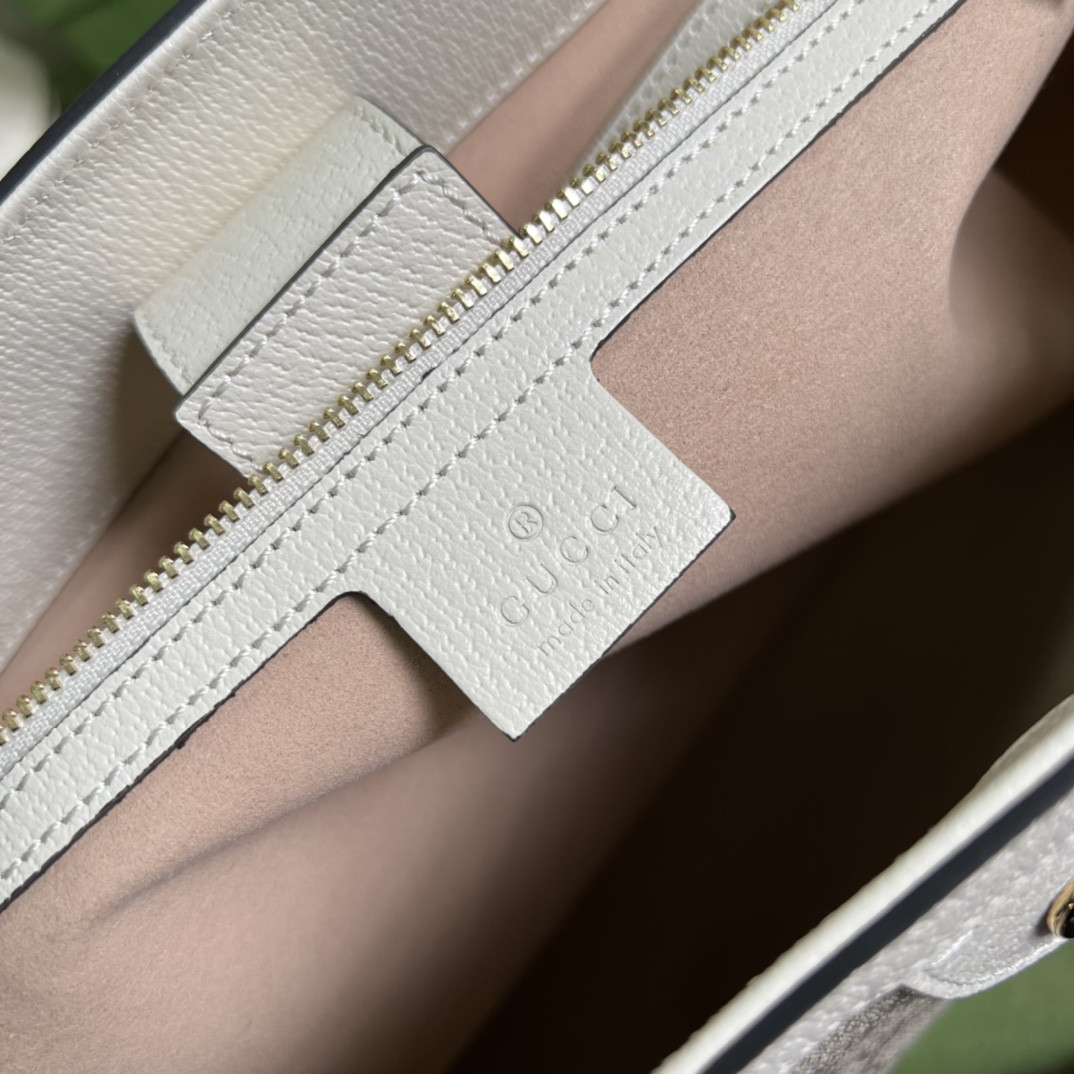 Gucci Ophidia Bag