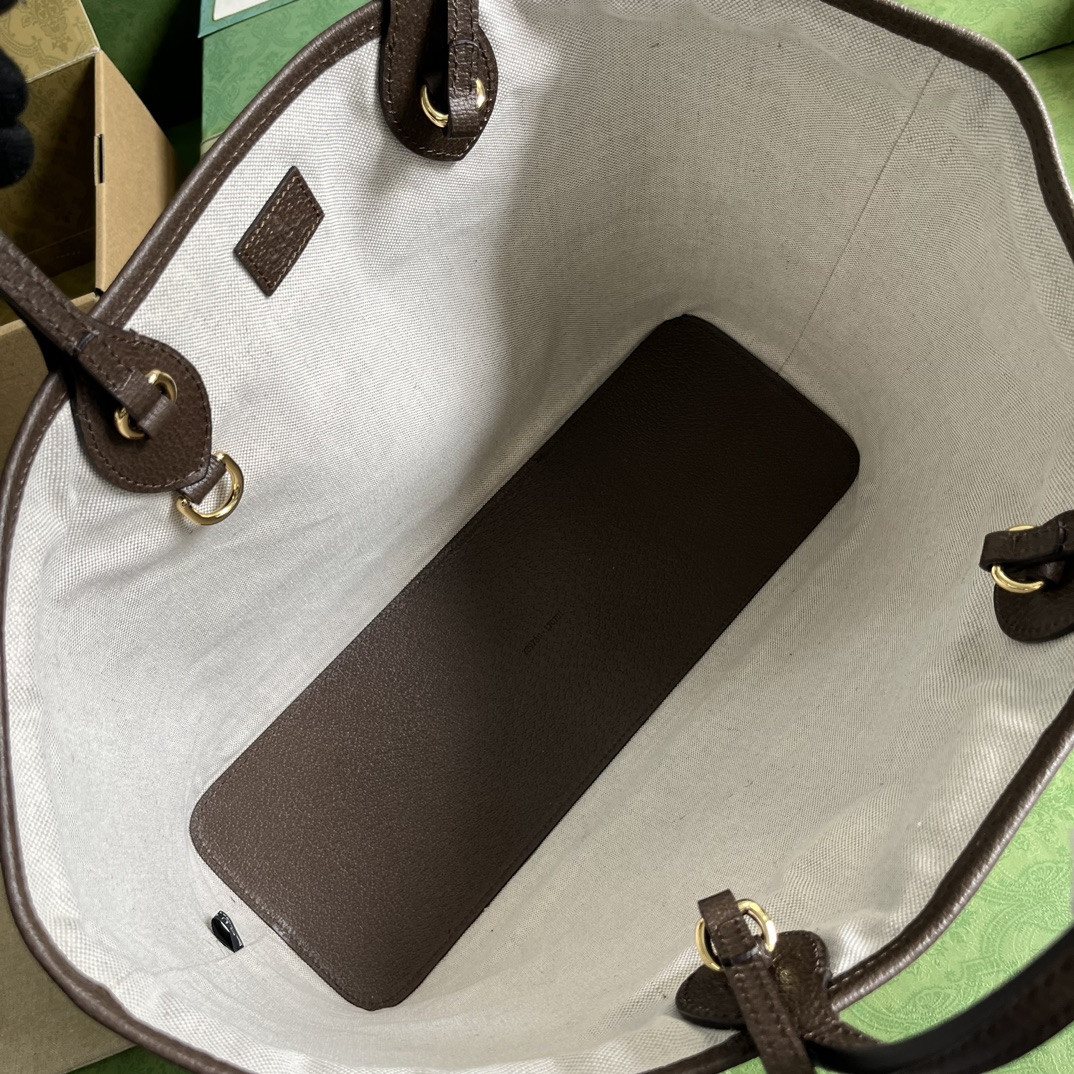 Gucci Ophidia Bag