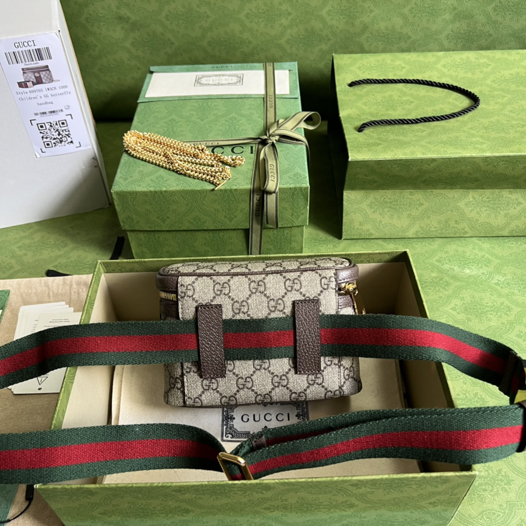 Gucci Ophidia Bag