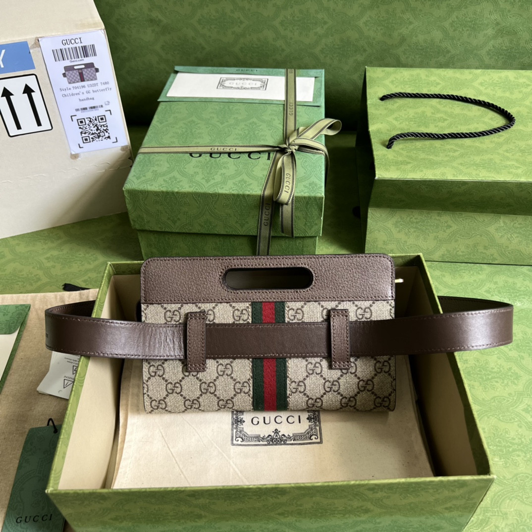 Gucci Ophidia Bag