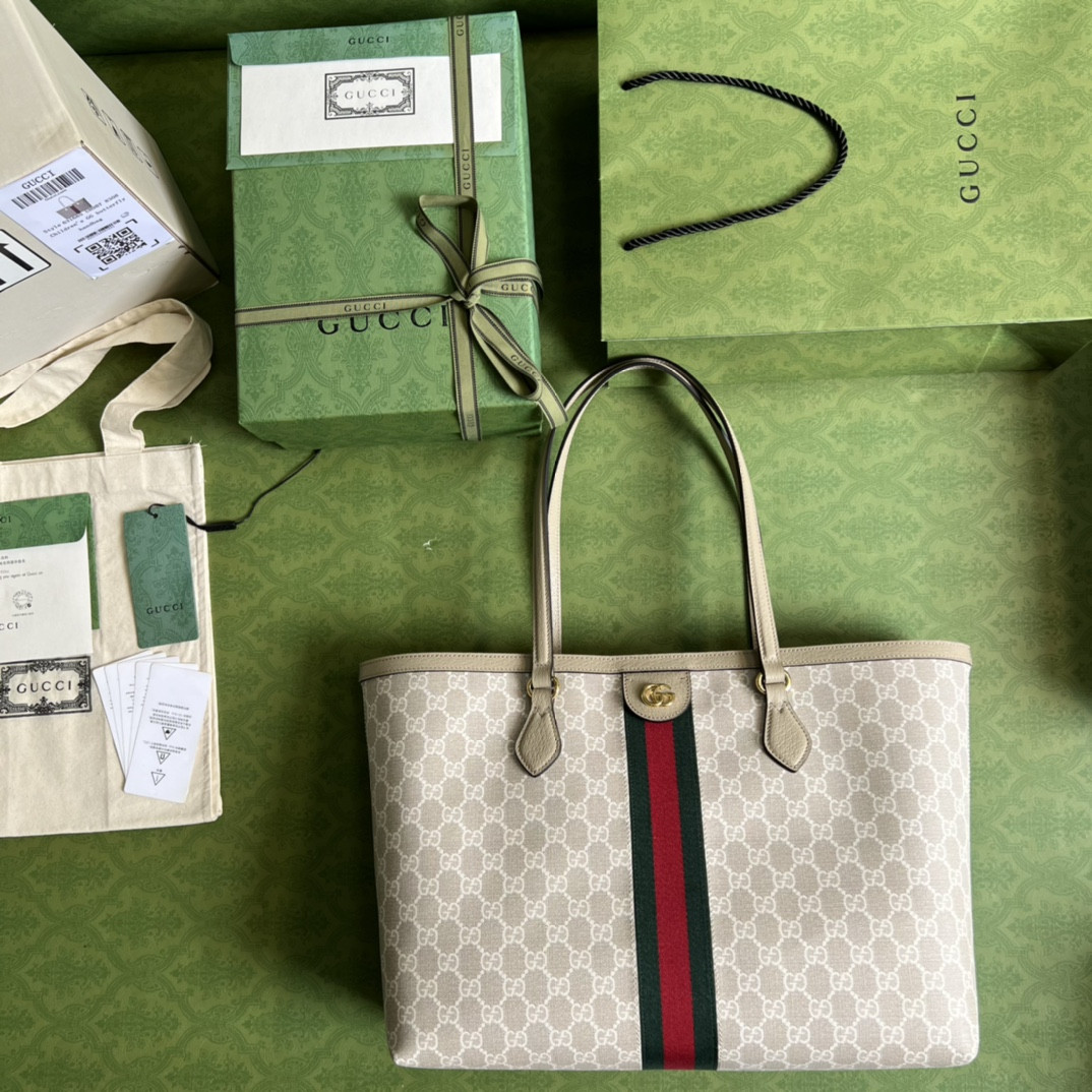 Gucci Ophidia Bag