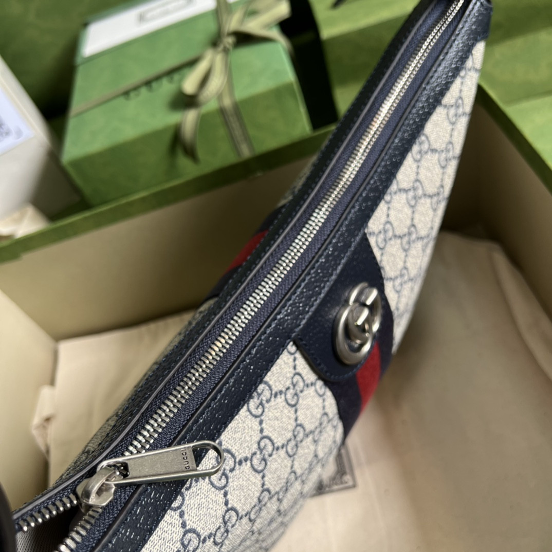 Gucci Ophidia Bag