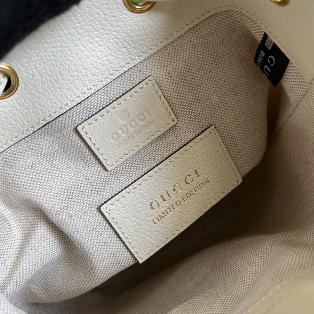 Gucci Ophidia Bag