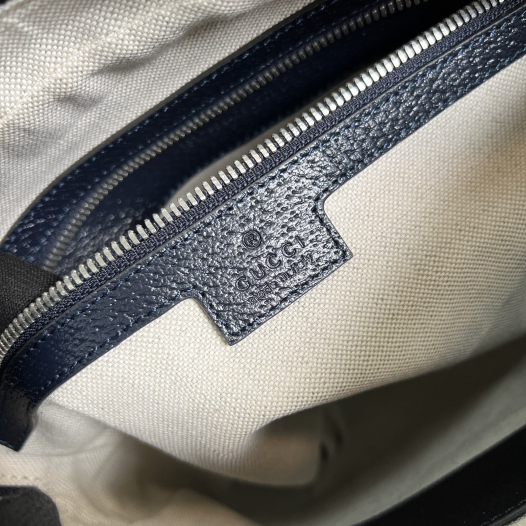 Gucci Ophidia Bag