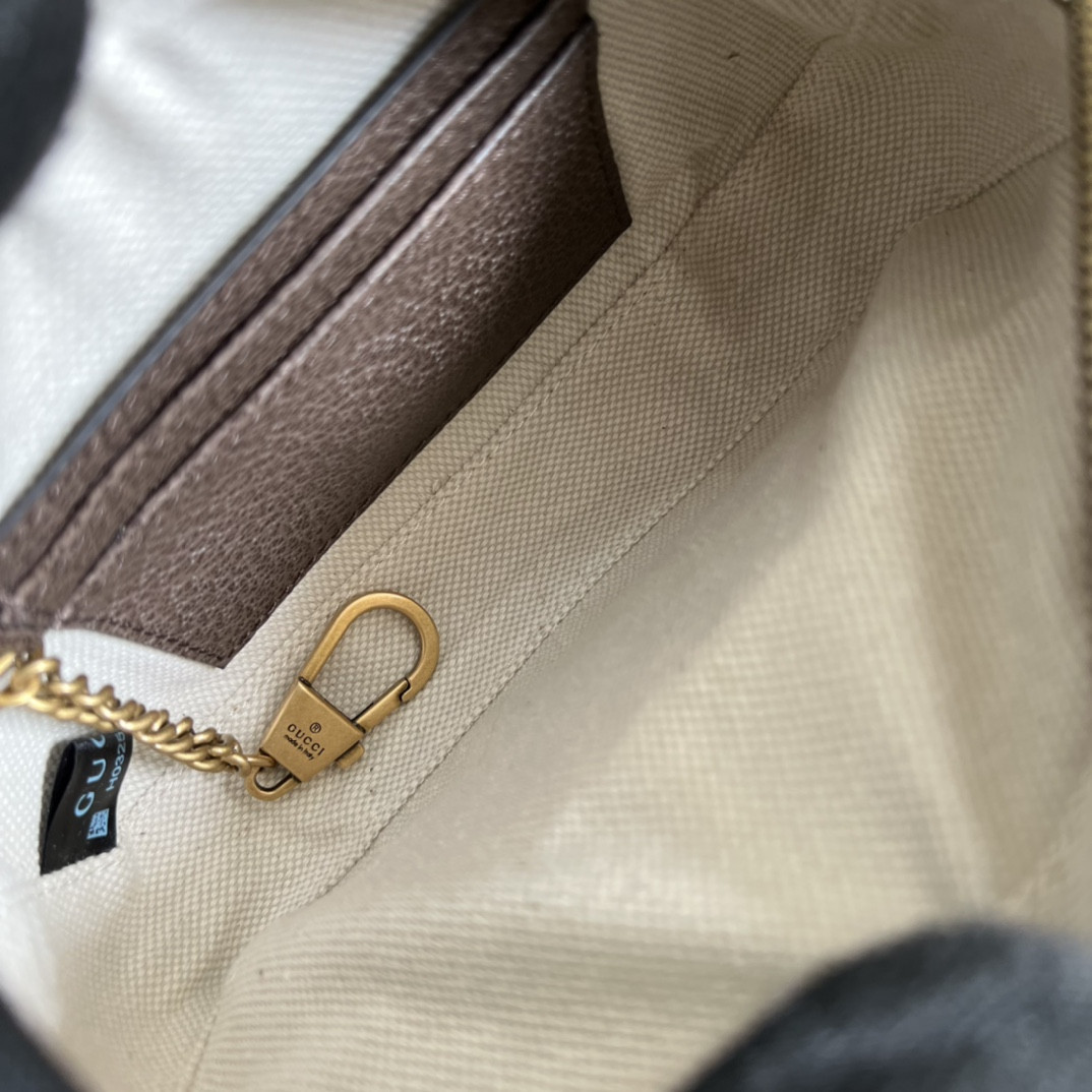 Gucci Ophidia Bag