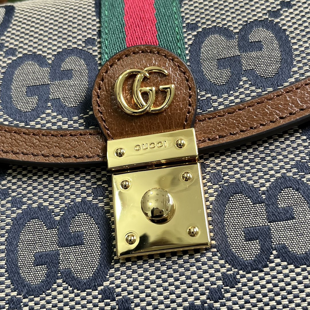 Gucci Ophidia Bag
