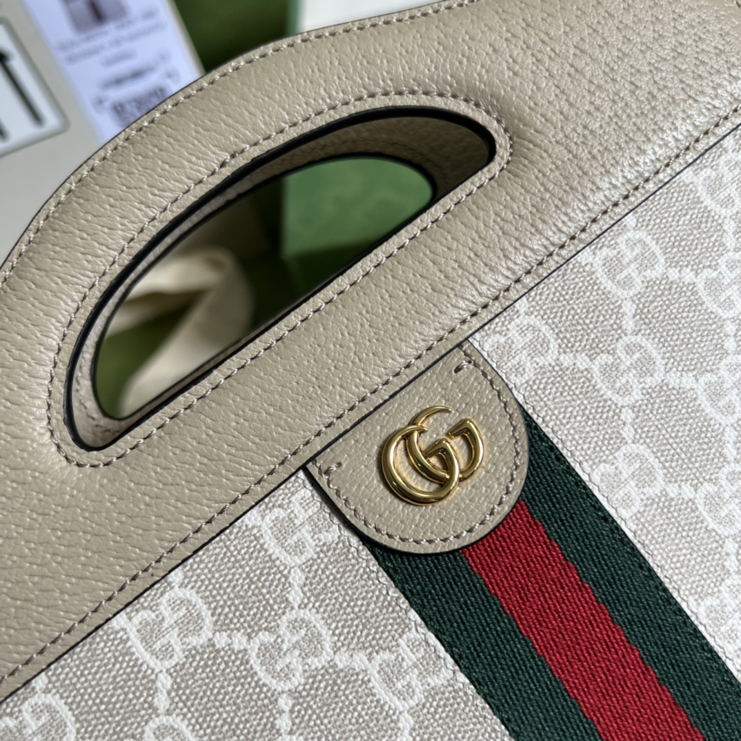 Gucci Ophidia Bag