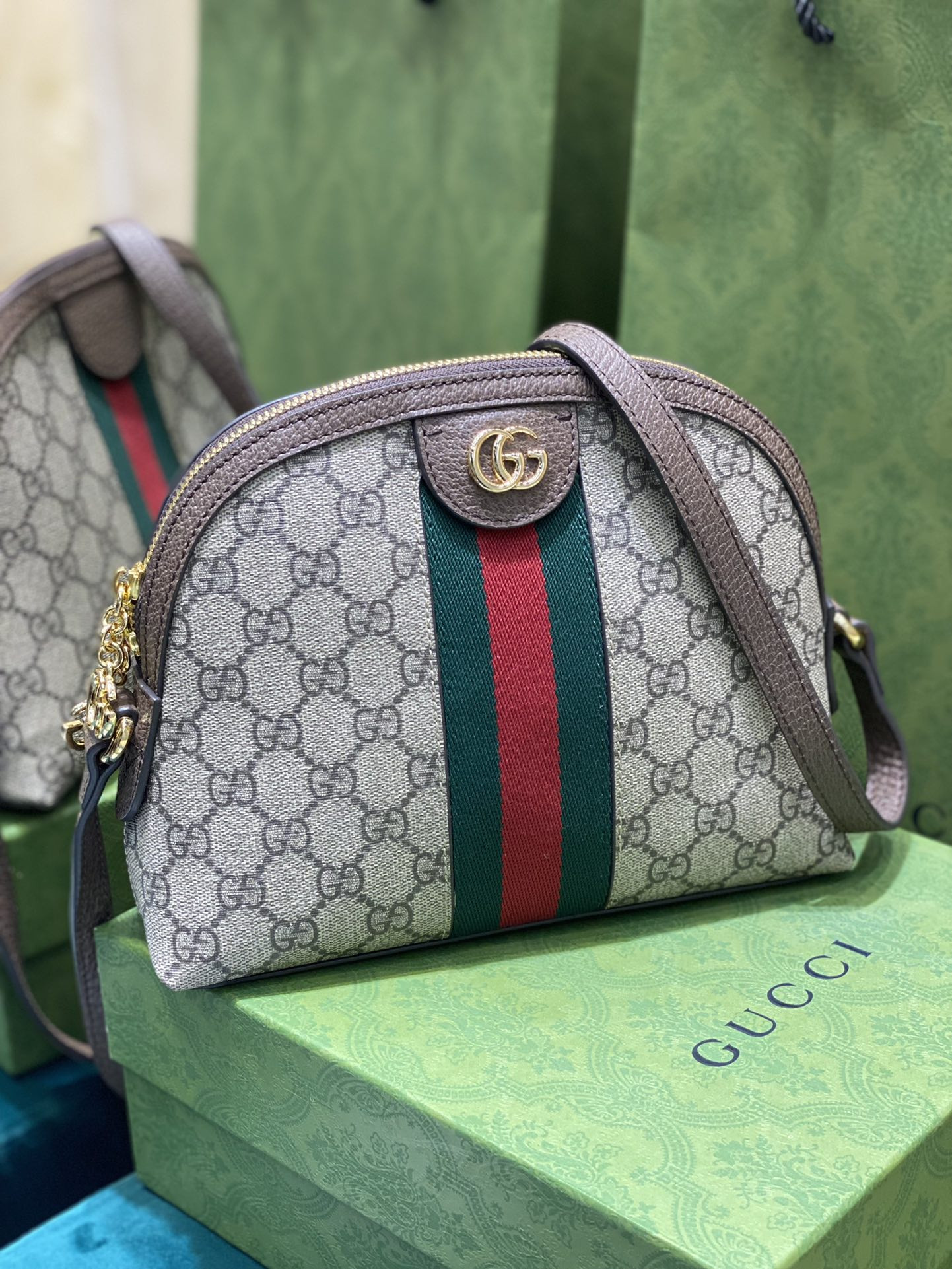 Gucci Ophidia Bag