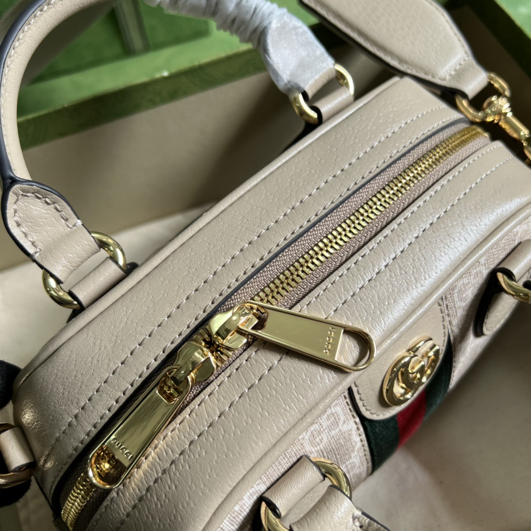 Gucci Ophidia Bag