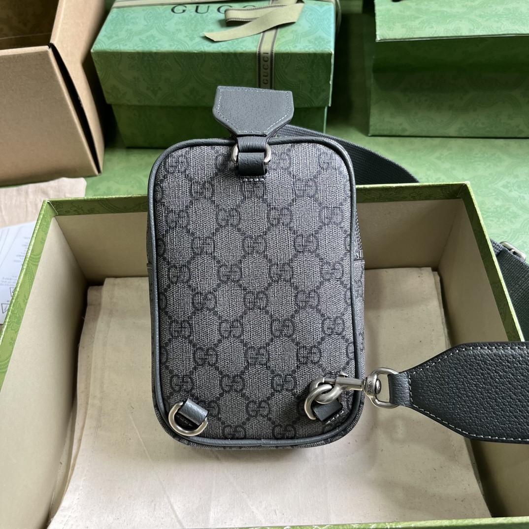 Gucci Ophidia Bag