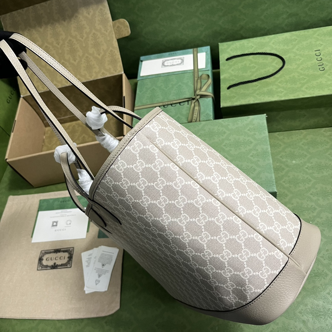 Gucci Ophidia Bag