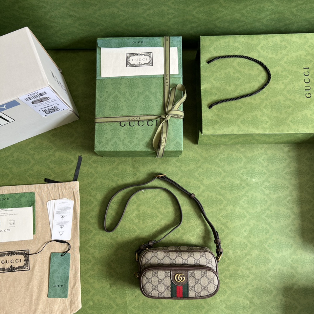 Gucci Ophidia Bag