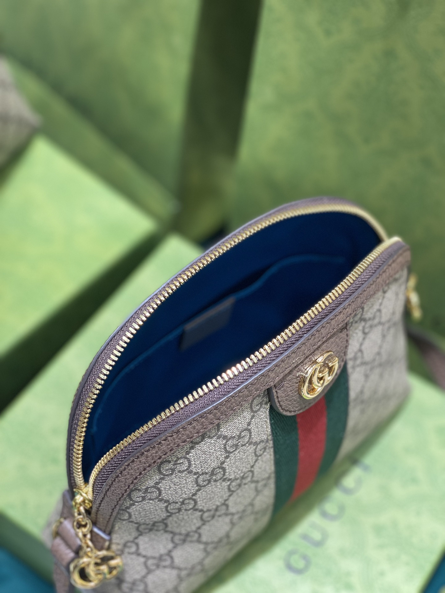 Gucci Ophidia Bag