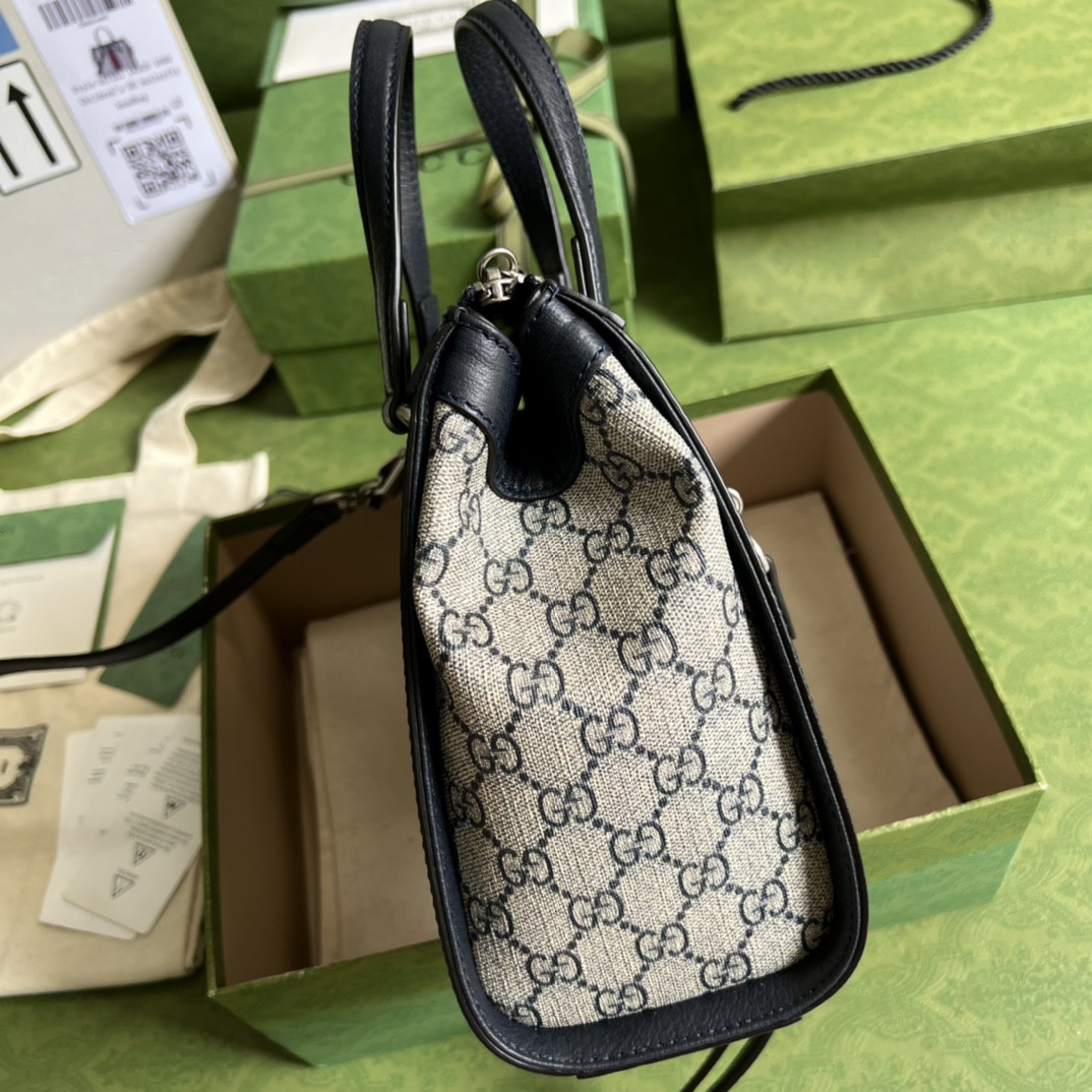 Gucci Ophidia Bag