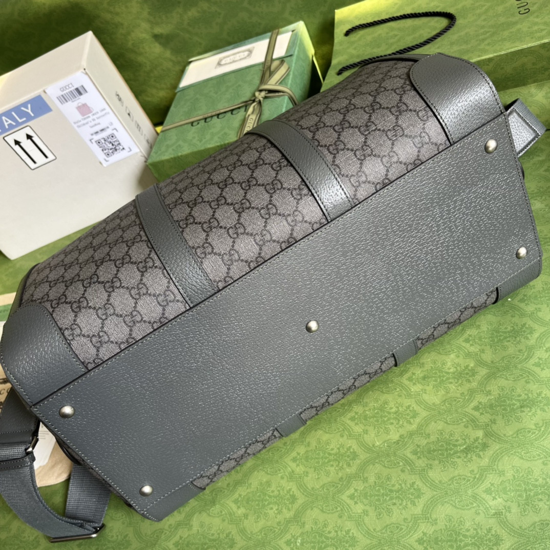 Gucci Ophidia Bag