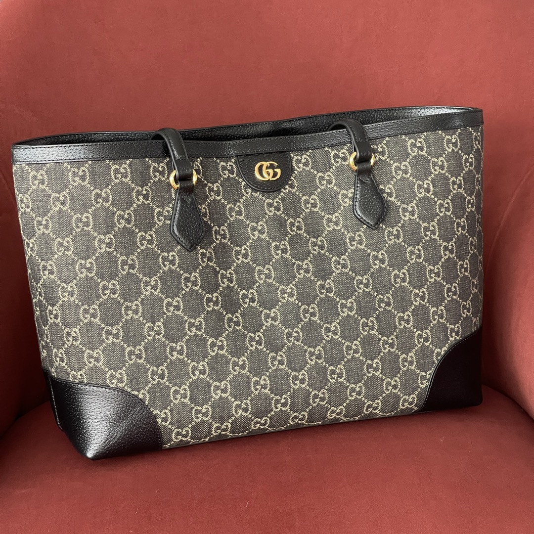Gucci Ophidia Bag
